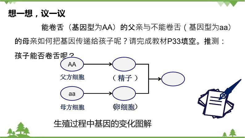 7.2.3 基因的显性和隐性(同步课件)-2020-2021学年八年级下册生物(人教版)04