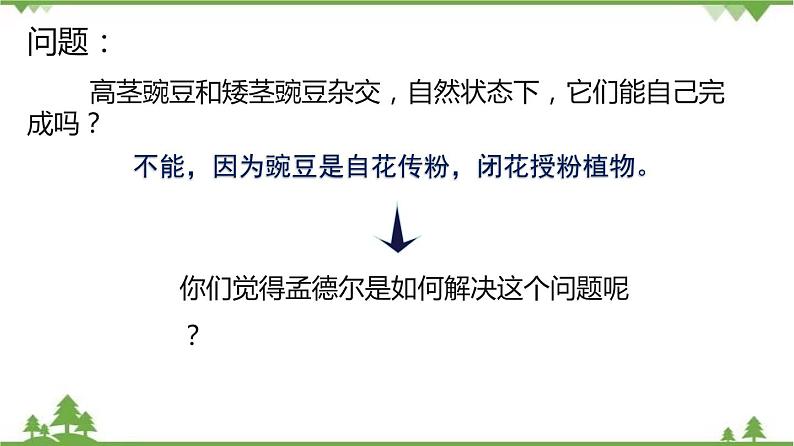 7.2.3 基因的显性和隐性(同步课件)-2020-2021学年八年级下册生物(人教版)07