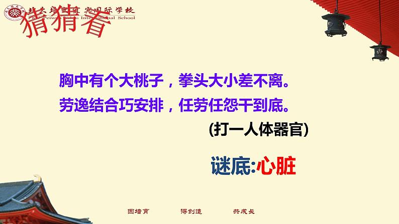 (人教七下)4.4.3 输送血液的泵-心脏 © 慢慢第1页