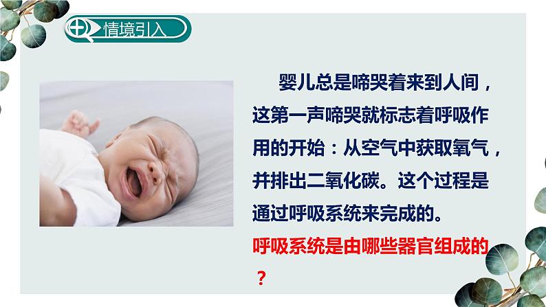 (人教七下)4.3.1 呼吸道对空气的处理第1页