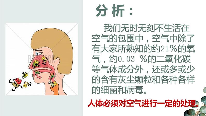 (人教七下)4.3.1 呼吸道对空气的处理第6页