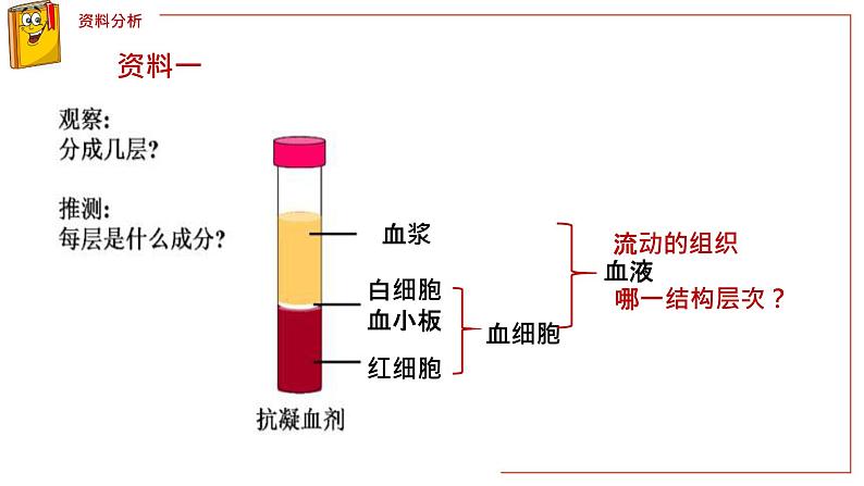 (人教七下)4.4.1 流动的组织——血液第5页