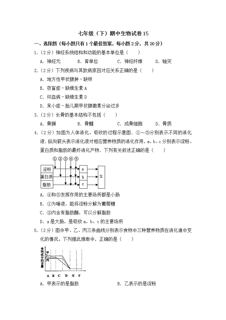 2020-2021学年七年级下学期生物期中考试试题(人教版) (word版 含答案)01