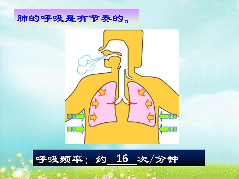 (人教七下)4.3.2 发生在肺内的气体交换 © 玖叁第8页