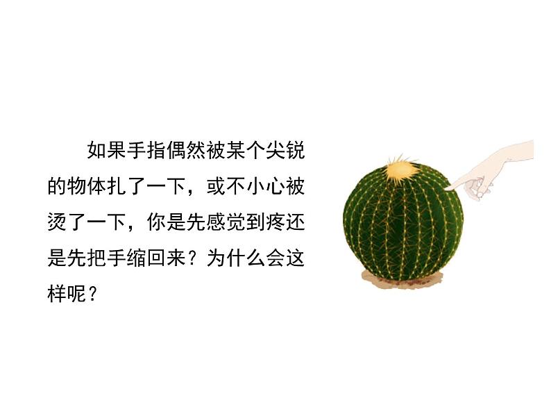 (人教七下)4.6.3 神经调节的基本方式 © FH 课件01