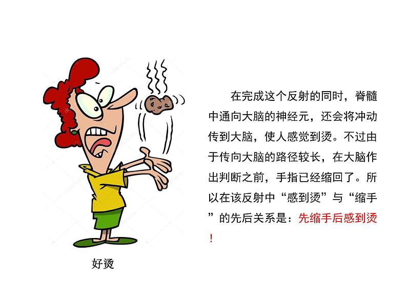 (人教七下)4.6.3 神经调节的基本方式 © FH 课件08
