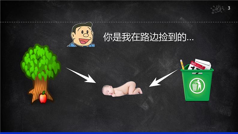 (人教七下)4.1.2 人的生殖课件第3页