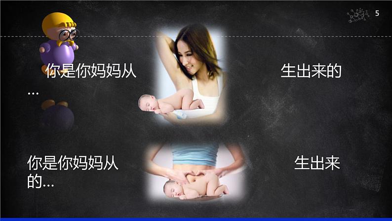 (人教七下)4.1.2 人的生殖课件第5页