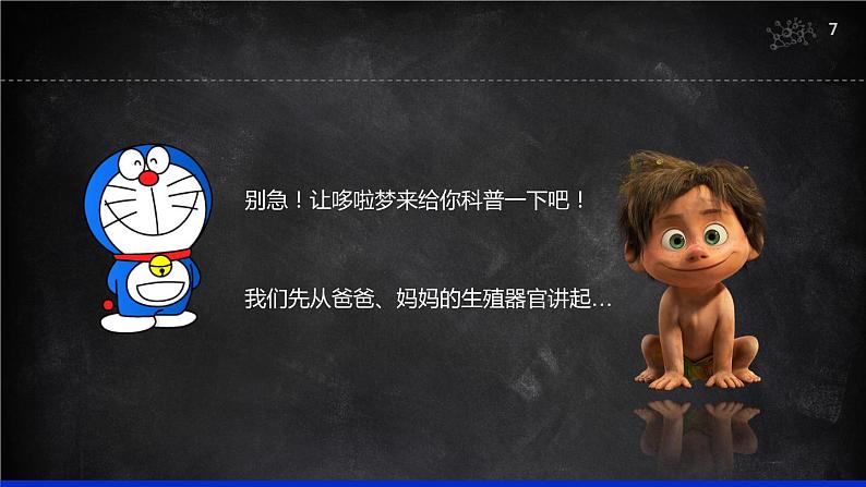 (人教七下)4.1.2 人的生殖课件第7页