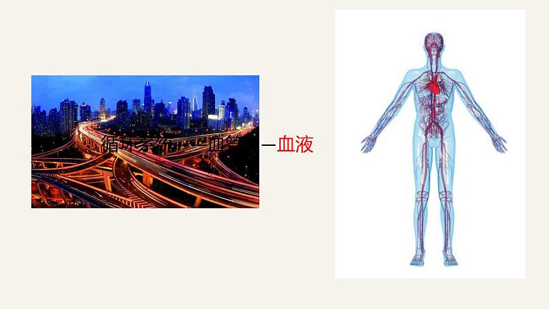 (人教七下)4.4.1 流动的组织——血液 by 叶美英课件第1页