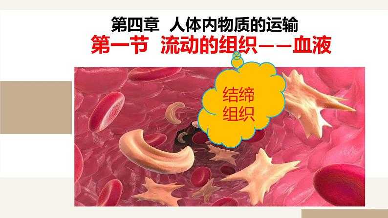 (人教七下)4.4.1 流动的组织——血液 by 叶美英课件第2页