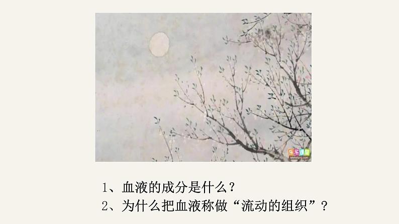 (人教七下)4.4.1 流动的组织——血液 by 叶美英课件第6页