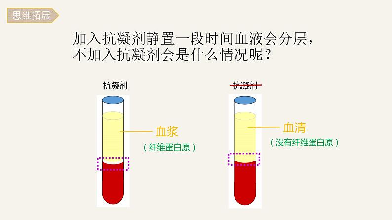 (人教七下)4.4.1 流动的组织——血液 by 叶美英课件第8页