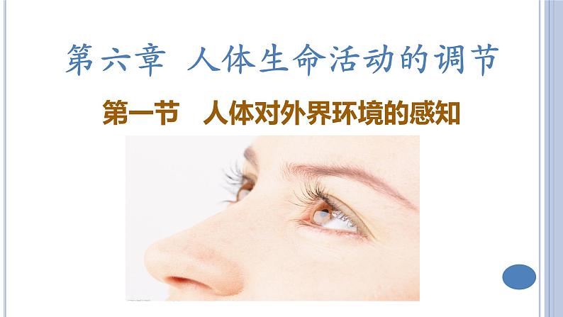 (人教七下)4.6.1人体对外界环境的感知(第一课时) by Kiki课件第1页