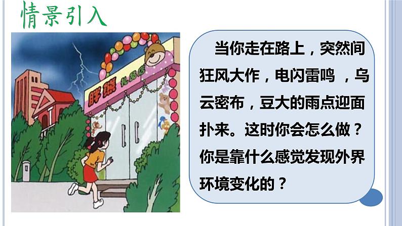 (人教七下)4.6.1人体对外界环境的感知(第一课时) by Kiki课件第2页