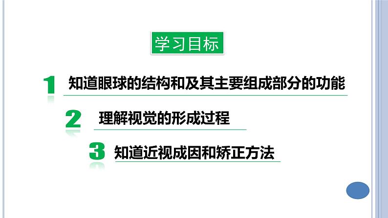 (人教七下)4.6.1人体对外界环境的感知(第一课时) by Kiki课件第6页