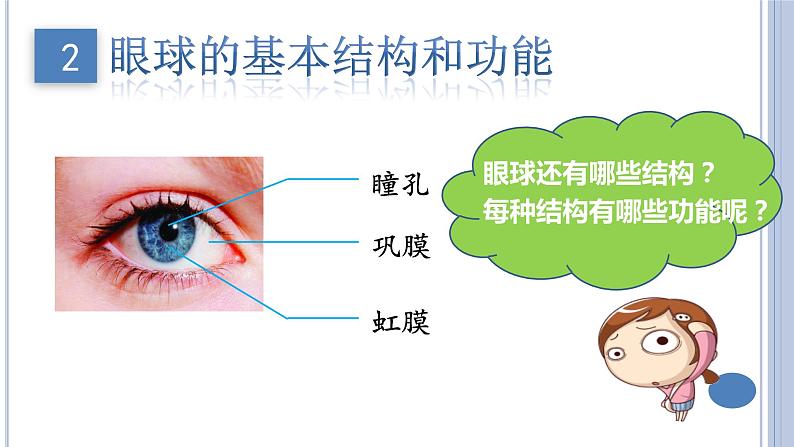 (人教七下)4.6.1人体对外界环境的感知(第一课时) by Kiki课件第8页