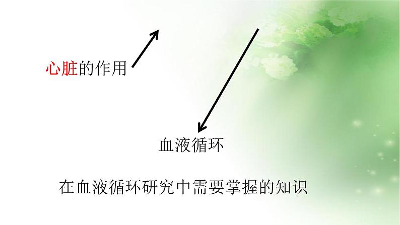人教版初中生物七年级下册第四单元第四章 第3节 输送血液的泵-心脏 课件(18张PPT)第5页
