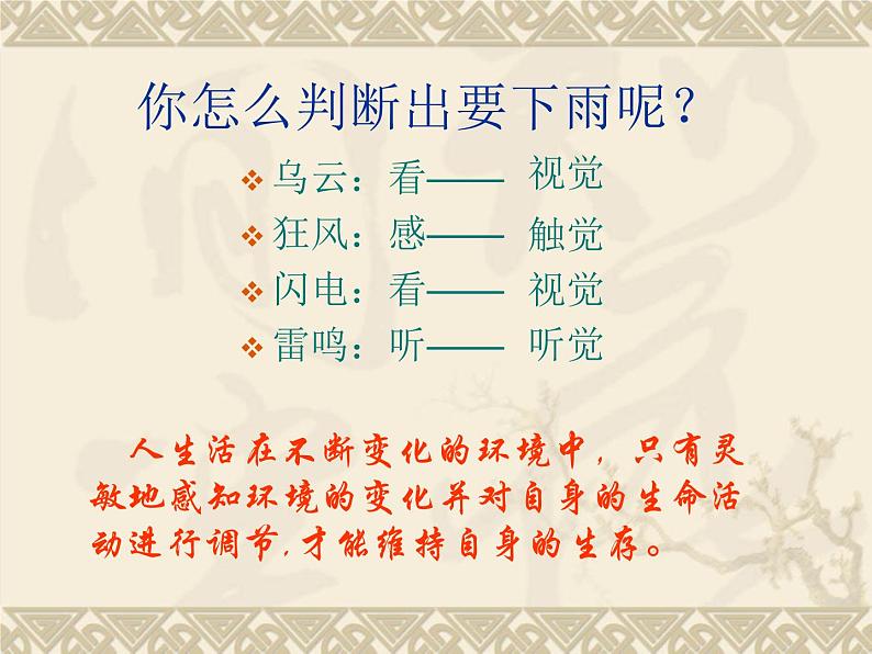 人教版生物七年级下册4.6.1人体对外界环境的感知 课件(14张PPT)03