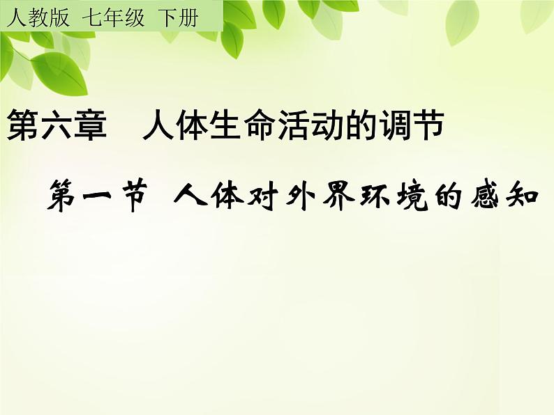 人教版生物七年级下册6.1人体对外界环境的感知 课件(24张PPT)第1页
