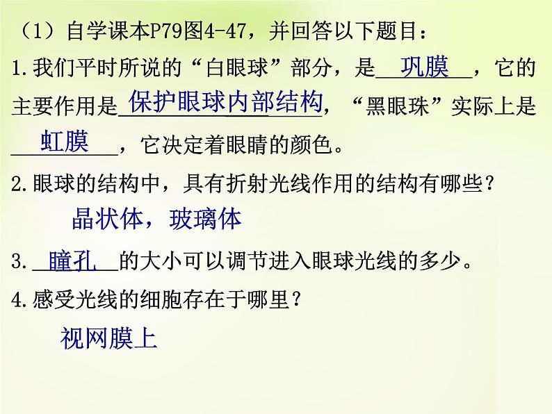 人教版生物七年级下册6.1人体对外界环境的感知 课件(24张PPT)第7页