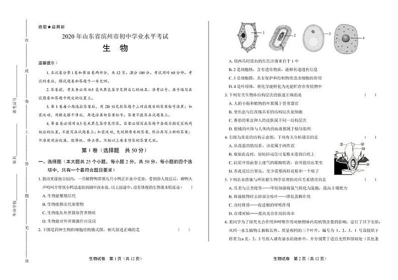 2020年山东省滨州中考生物试卷附答案解析01