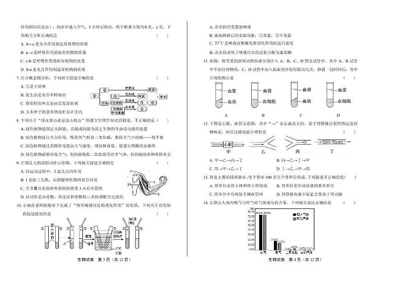 2020年山东省滨州中考生物试卷附答案解析02