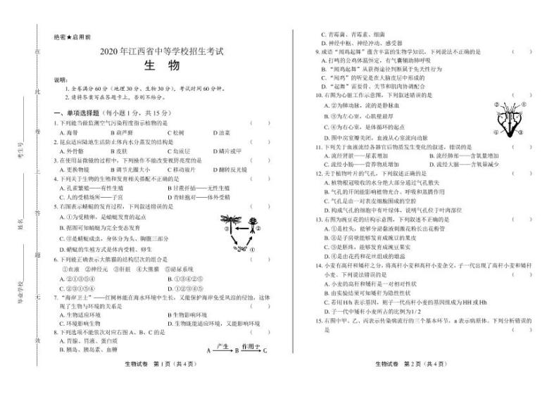 2020年江西省中考生物试卷附答案解析01