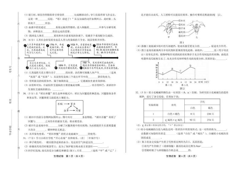 2020年福建省中考生物试卷附答案解析03