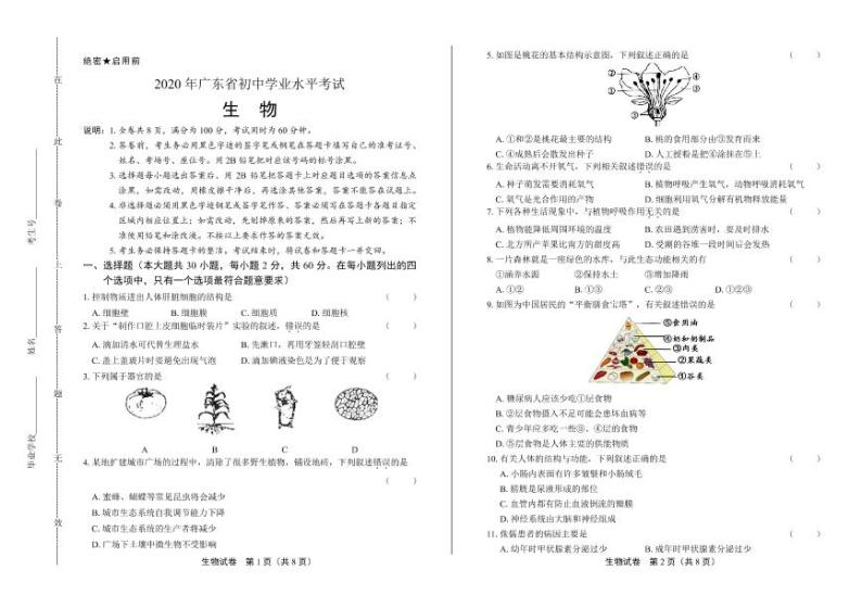 2020年广东省中考生物试卷附答案解析01