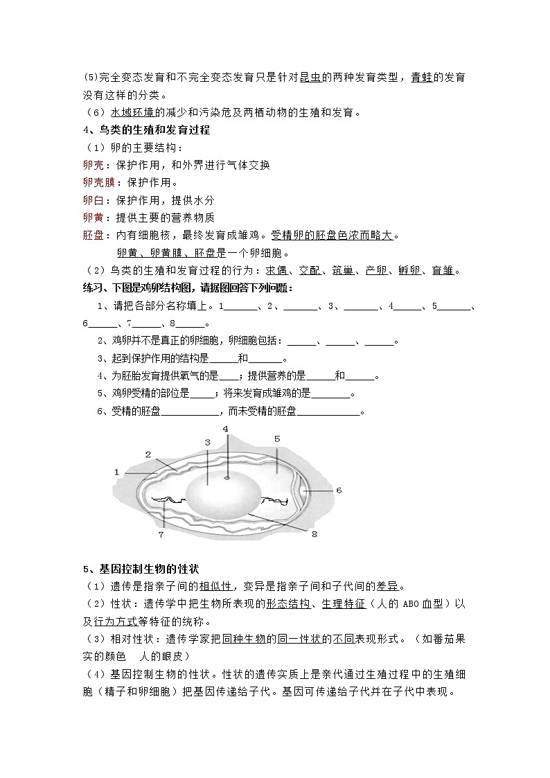 人教版八年级下册生物复习资料第2页