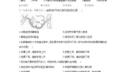 冀教版七年级下册第三章 健肺强肾 精力充沛综合与测试单元测试练习题