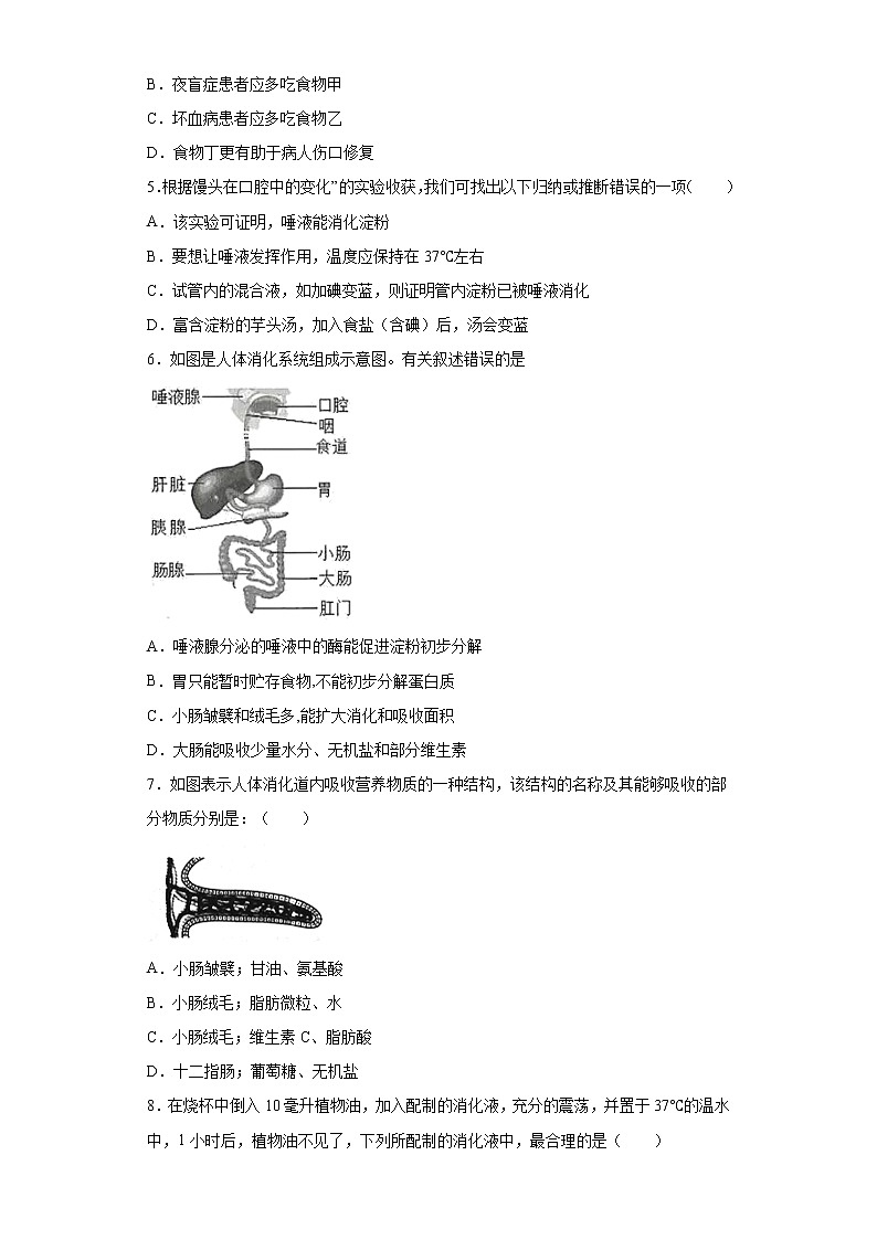 河南省济源市2020-2021学年七年级下学期期中质量调研生物试题(word版 含答案)02
