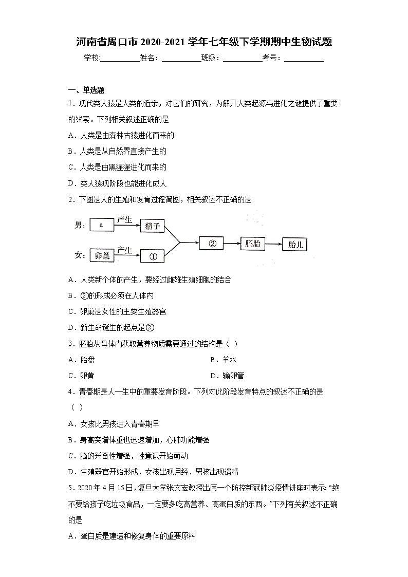 河南省周口市2020-2021學(xué)年七年級(jí)下學(xué)期期中生物試題（word版 含答案）第1頁