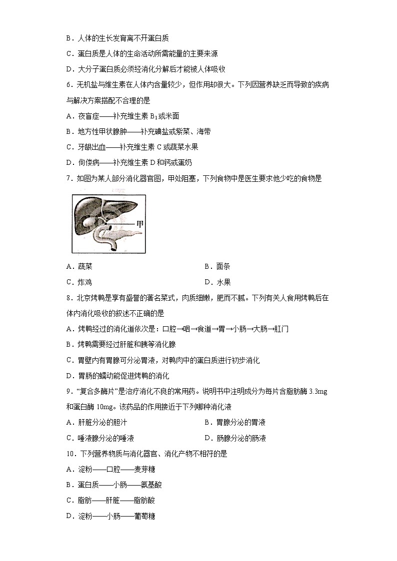 河南省周口市2020-2021學(xué)年七年級(jí)下學(xué)期期中生物試題（word版 含答案）第2頁