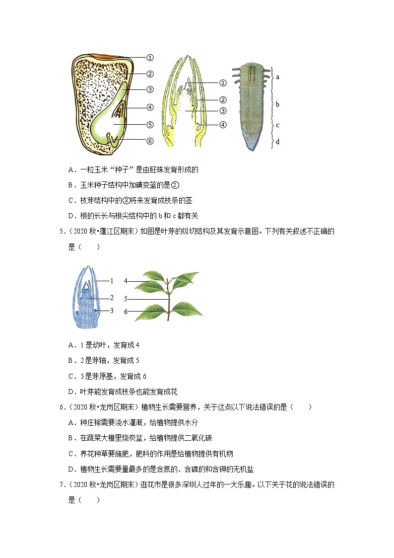 2021年广东中考生物复习专练——专题6植物的一生02