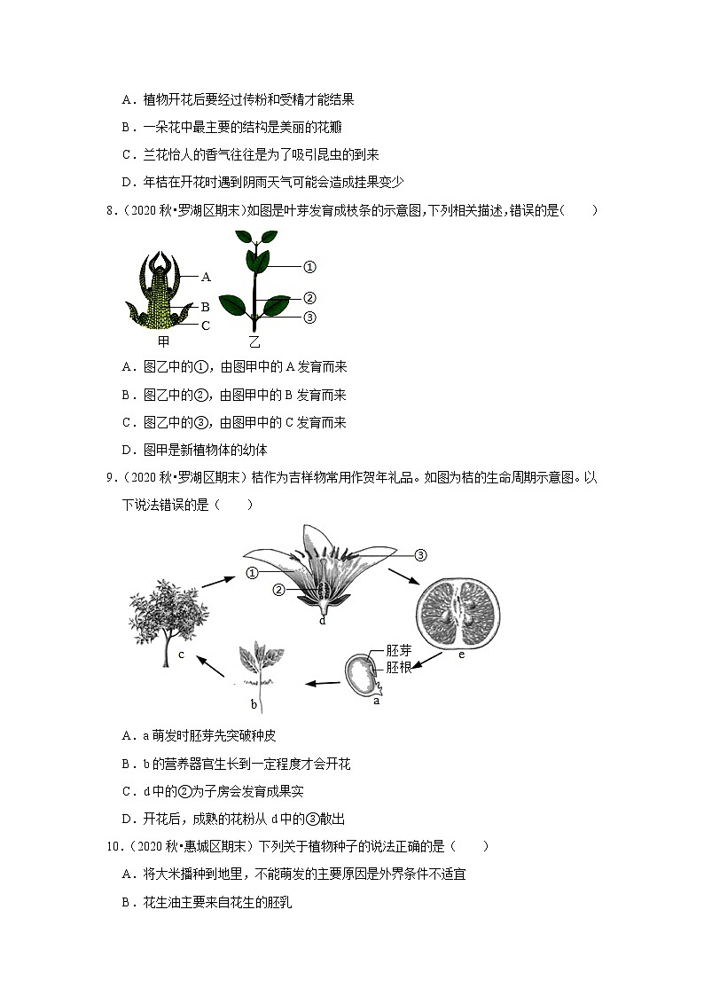 2021年广东中考生物复习专练——专题6植物的一生03