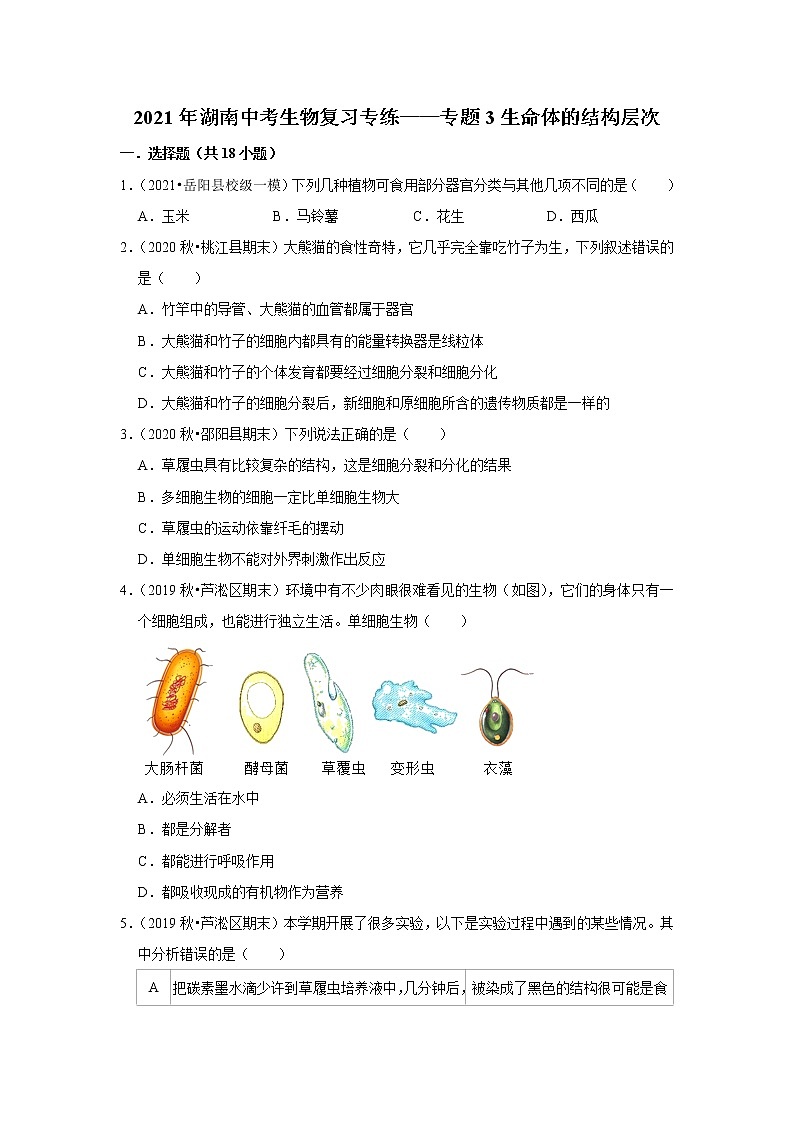 2021年湖南中考生物复习专练——专题3生命体的结构层次01