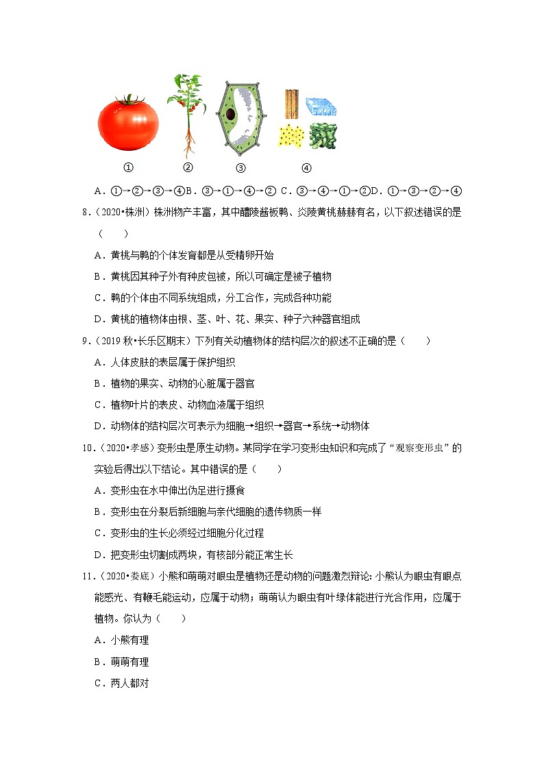 2021年湖南中考生物复习专练——专题3生命体的结构层次03