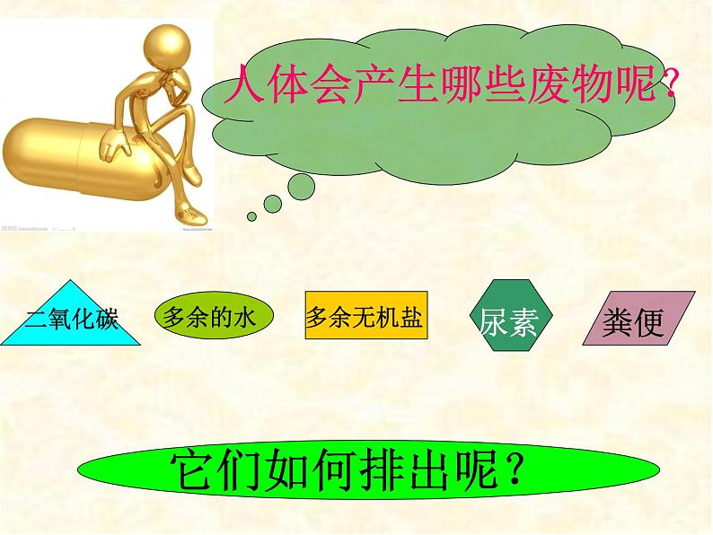 2020--2021学年人教版初中生物七年级下册第四单元第五章 人体内废物的排出 课件(37张PPT)第3页