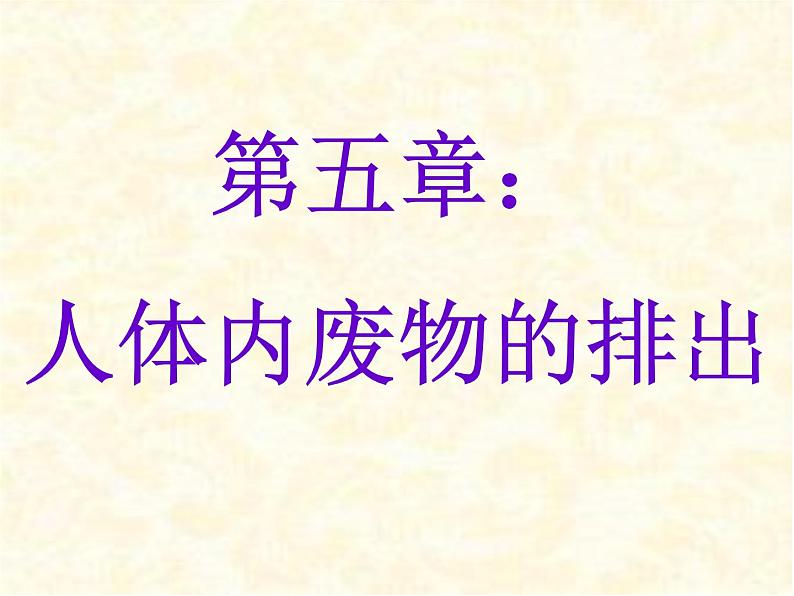 2020--2021学年人教版初中生物七年级下册第四单元第五章 人体内废物的排出 课件(37张PPT)第4页