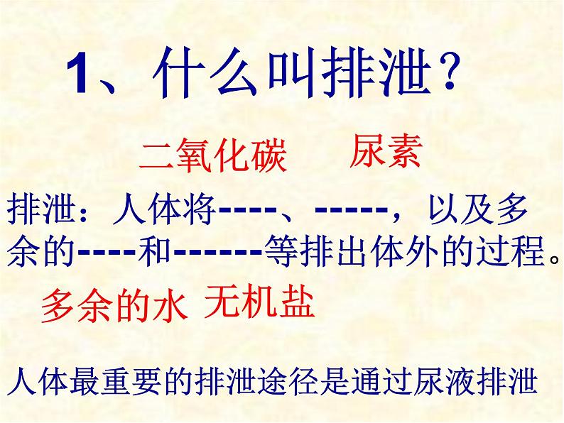 2020--2021学年人教版初中生物七年级下册第四单元第五章 人体内废物的排出 课件(37张PPT)第7页