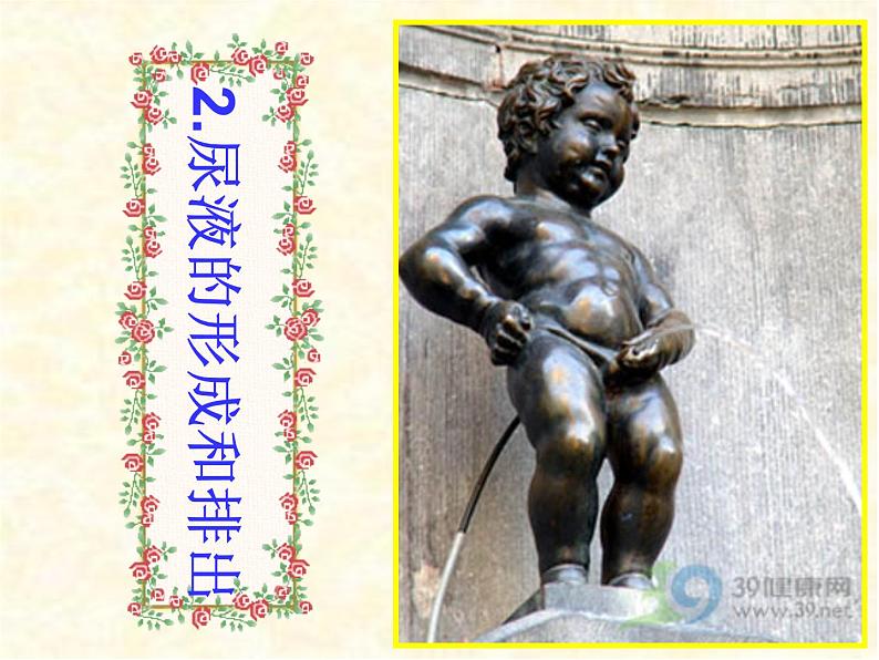 2020--2021学年人教版初中生物七年级下册第四单元第五章 人体内废物的排出 课件(37张PPT)第8页