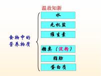 初中生物人教版 (新课标)七年级下册第二节 消化和吸收背景图ppt课件