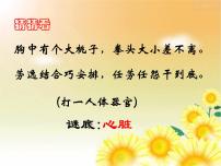 初中生物人教版 (新课标)七年级下册第三节 输送血液的泵──心脏集体备课课件ppt