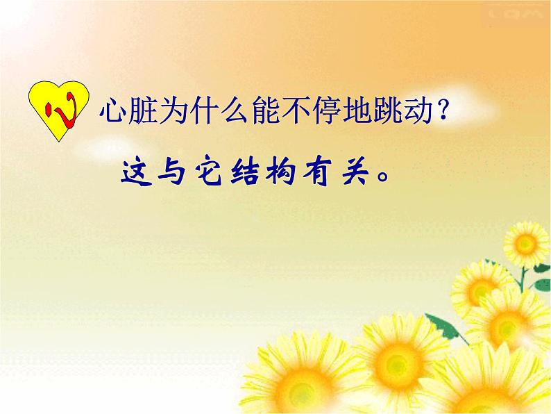 人教版七年级生物下册 4.4.3 输送血液的泵-心脏(第1课时) 课件(24张PPT)第7页