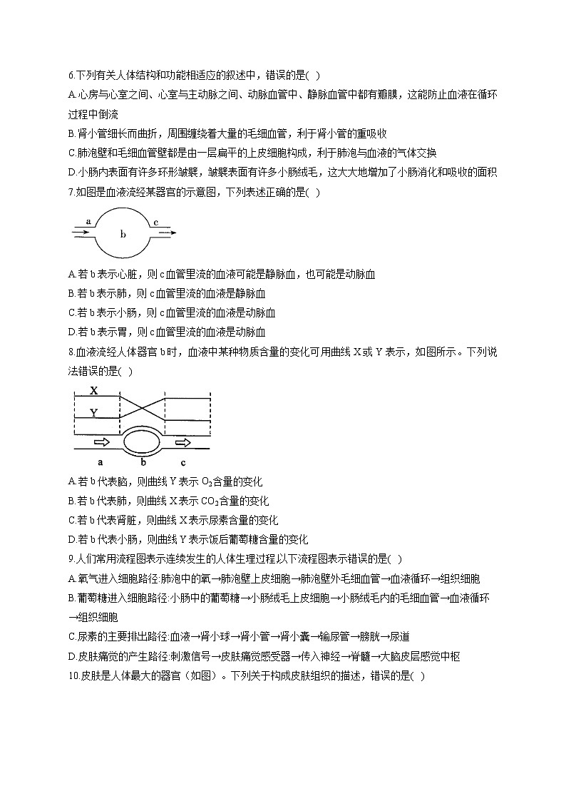 2021届中考生物总复习生物圈中的人考点强化 (8)消化、呼吸、循环、泌尿综合 试卷02