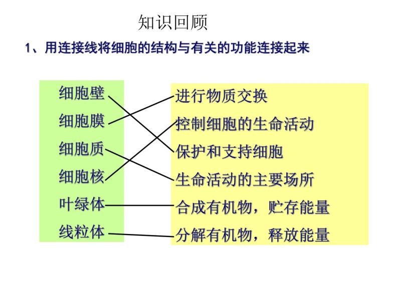 北师大版七年级上册 第3章第3节  细胞通过分裂增殖课件（20张PPT）01