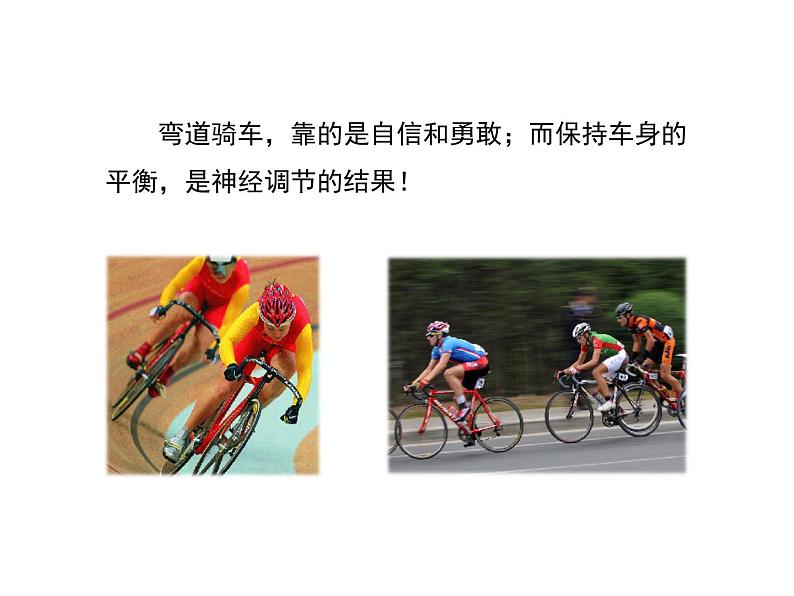 第二节 神经系统的组成第1页