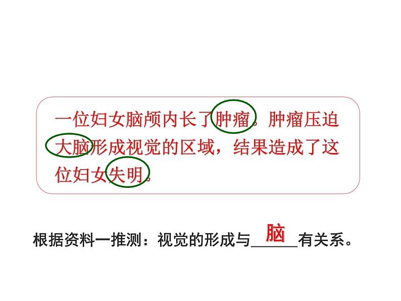第二节 神经系统的组成第5页
